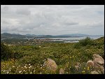 Tue 01 May 2007 11:27:52 D20_8822.JPG 