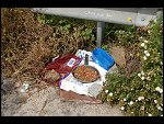 Tue 01 May 2007 11:30:34 D20_8835.JPG 