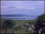 Tue 01 May 2007 11:24:32 N73_0057.JPG 