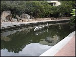 DSC02869.JPG 