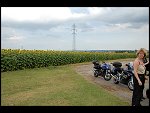 Thu 02 Aug 2007 17:10:22 D20_1010.JPG 