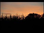 Fri 03 Aug 2007 21:23:52 D20_1049.JPG 
