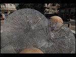 Sat 04 Aug 2007 11:21:06 D20_1074.JPG 