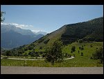 Sat 04 Aug 2007 15:43:48 D20_1298.JPG 