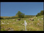 Sat 04 Aug 2007 15:44:48 D20_1299.JPG 