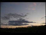 Wed 08 Aug 2007 21:03:52 D20_1446.JPG 
