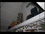 Sat 29 Sep 2007 23:22:52 D20_3883.JPG 