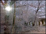 Fri 21 Dec 2007 09:29:46 21122007203.JPG 