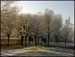 Sat 22 Dec 2007 14:10:26 22122007215.JPG 