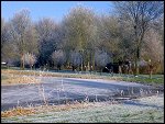 Sat 22 Dec 2007 14:10:52 22122007216.JPG 
