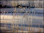 Sat 22 Dec 2007 14:17:44 22122007224.JPG 