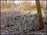 Sat 22 Dec 2007 14:28:06 22122007234.JPG 
