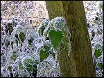 Sat 22 Dec 2007 14:28:40 22122007235.JPG 