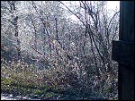 Sat 22 Dec 2007 14:32:22 22122007241.JPG 