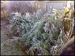 Sat 22 Dec 2007 14:45:04 22122007254.JPG 