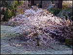 Sat 22 Dec 2007 14:47:08 22122007259.JPG 
