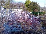 Sat 22 Dec 2007 14:52:20 22122007263.JPG 