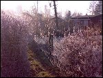 Sat 22 Dec 2007 14:57:26 22122007265.JPG 