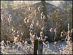 Sat 22 Dec 2007 14:57:52 22122007266.JPG 
