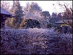 Sat 22 Dec 2007 15:01:02 22122007270.JPG 