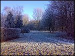 Sat 22 Dec 2007 15:04:16 22122007276.JPG 