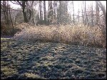 Sat 22 Dec 2007 15:12:16 22122007288.JPG 