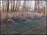 Sat 22 Dec 2007 15:12:40 22122007289.JPG 