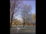 Sat 22 Dec 2007 15:13:49 22122007290.JPG 