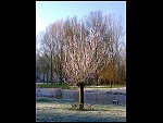 Sat 22 Dec 2007 15:14:46 22122007292.JPG 