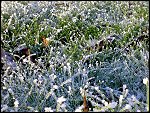 Sat 22 Dec 2007 15:15:20 22122007293.JPG 