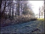 Sat 22 Dec 2007 15:16:46 22122007296.JPG 