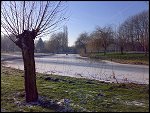 Sat 22 Dec 2007 15:20:24 22122007299.JPG 