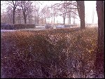 Sat 22 Dec 2007 15:21:52 22122007300.JPG 