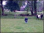 Sun 27 May 2007 16:32:28 27052007094.JPG 