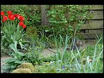 Mon 16 Apr 2007 18:41:20 D20_8175.JPG 