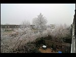 Fri 21 Dec 2007 13:28:48 D30_0359.JPG 