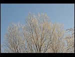 Sat 22 Dec 2007 13:10:04 D30_0489.JPG 
