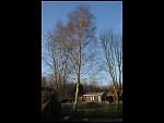 Sun 11 Mar 2007 18:29:34 D20_5575.JPG 