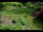 Sat 02 Jun 2007 14:43:06 D20_9789.JPG 
