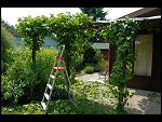 Sat 02 Jun 2007 14:43:52 D20_9793.JPG 