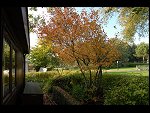 Sat 06 Oct 2007 16:21:06 D20_4095.JPG 
