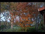 Sat 06 Oct 2007 18:19:22 D20_4096.JPG 