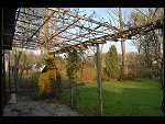 Sun 18 Nov 2007 15:52:38 D20_4911.JPG 