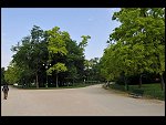 Fri 30 May 2008 09:59:06 D30_5933.JPG 