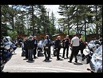 Sat 31 May 2008 13:08:48 D30_5968.JPG 