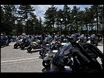 Sat 31 May 2008 13:44:38 D30_5989.JPG 