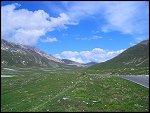 Sat 31 May 2008 14:54:55 CIMG0053.JPG 