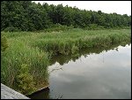 Sat 21 Jun 2008 19:45:44 S1050048.JPG 