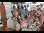 Thu 31 Jul 2008 11:41:40 D30_8812.JPG 