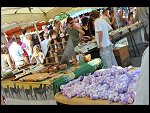 Thu 31 Jul 2008 11:44:00 D30_8813.JPG 